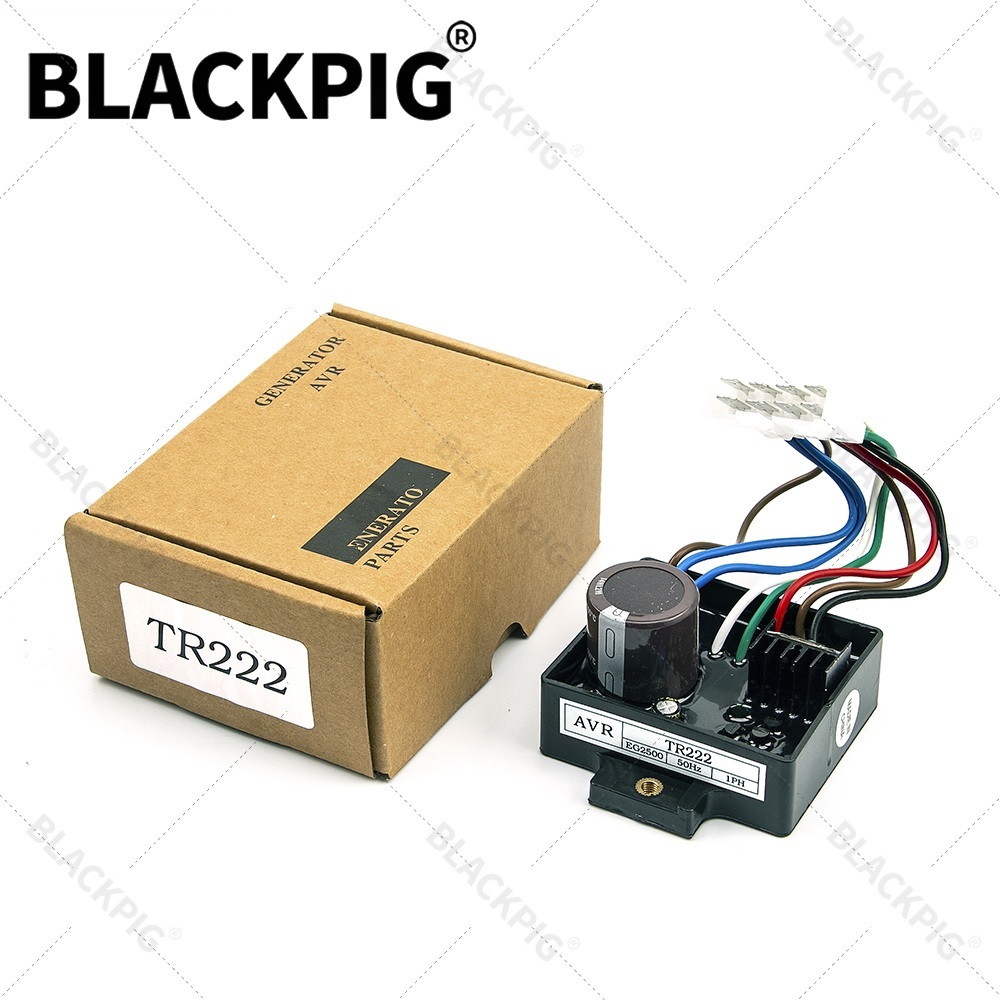 Cycloidal Reducer Bldc Motor - TR222 EG2500 AVR Otomatik Voltaj Regülatörü