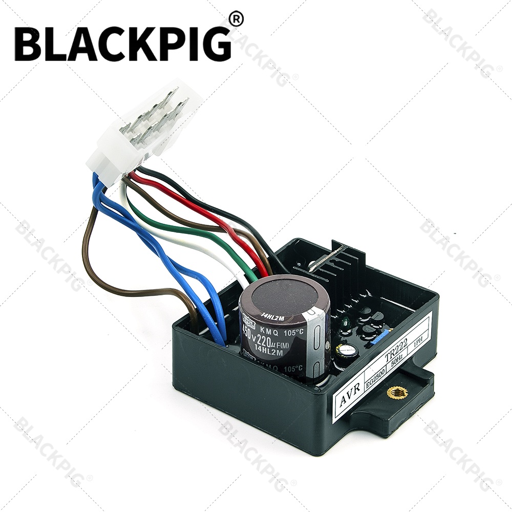 TR222 EG2500 AVR Otomatik Volt - Cycloidal Reducer Bldc Motor incelemesi ve fiyatı